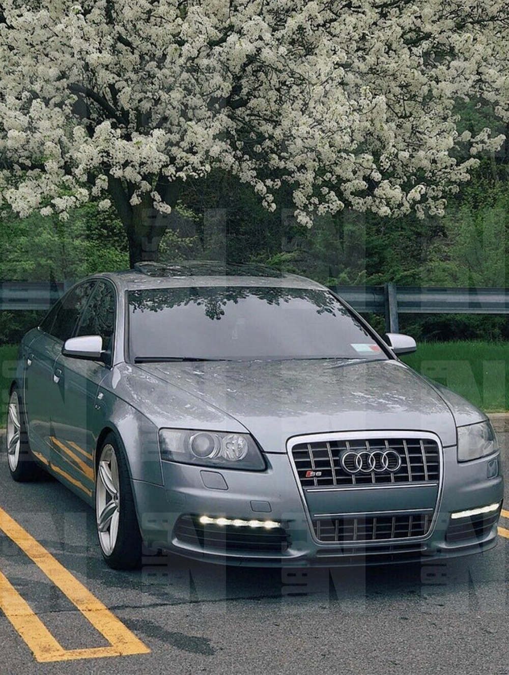 LIP CUPRA